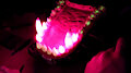 Multi color LED glowing teeth (video)
