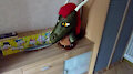 Da Ti 3's multicolored dragon-scales (video)