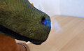 Da Ti 3_da-ti's fire-spitting-dragon-suit (video)