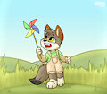 Summer Wind