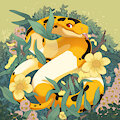 com for Alkanet