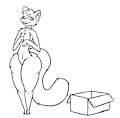 Fits