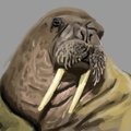 Daily Random Stuff 120