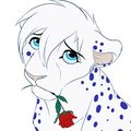 Will someone... love me..?