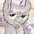 He's a Bad Pony