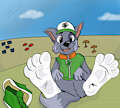 Rocky have a break [clean socks]