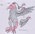 Cockatrice ref! by DatuKampilan