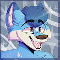 Commission- Comet
