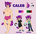 Caleb-ref sheet