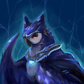 The night owl
