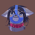 The muzzled scort