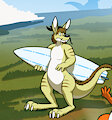 Kangaroo'd