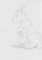 Hare