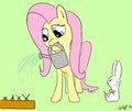30 min challenge - Fluttershy and her Garden