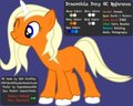 Dreamsicle Reference Sheet (Old)