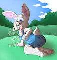 Bunny Food