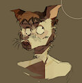 for bf