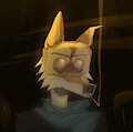 Jan 8, 2023 07:44 PM by openfracturesday