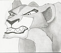 Zira Snarl by SilverGunn
