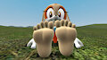 Cream The Rabbit's Feet Tease (Reupload from DA)