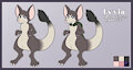 Lyvia the Kowari by LilacBat