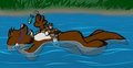 River Ride