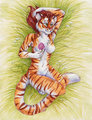 Lying in the Tall Grass