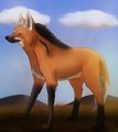 Maned wolf by Vitani