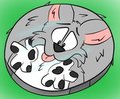Squished!