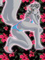 Grey kitty