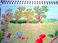 Countryside