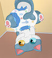 Catshark pics