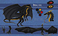 [COMM] Draikk Ref Sheet by Dragondraikk