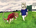 With Their Hoop