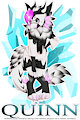 Quinn badge