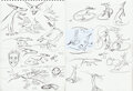 Stygg biology study