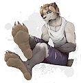 Patreon freebies