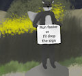 Run or Drop by FoxBudy1