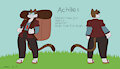 Achilles Ref
