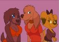 Arinel , Allana monteiro, rinel