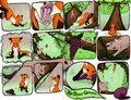 No Sour Grapes (Version 1)