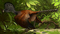 Greater Curassow