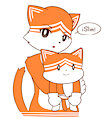 Orange cat