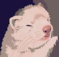 one of the cutest faces my ferret has ever made