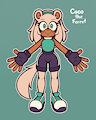 Coco the Ferret