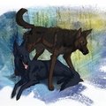 Protector