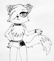 Aura the cat by Terrybear1316