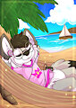 Listening to audiobooks on the beach