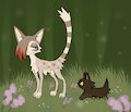 forest training by labbit