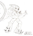 2006 Sonicboom